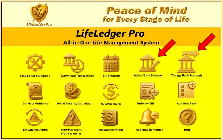 Balance adjustment popup